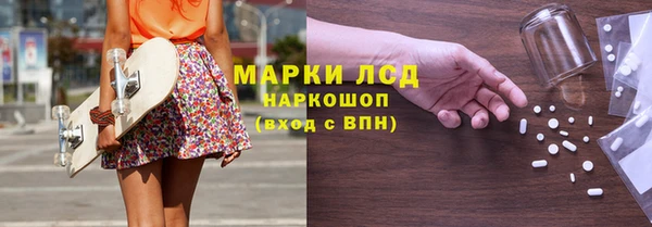 ПСИЛОЦИБИНОВЫЕ ГРИБЫ Алзамай