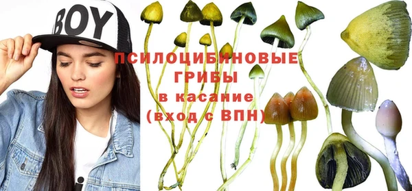 круглые Гусиноозёрск
